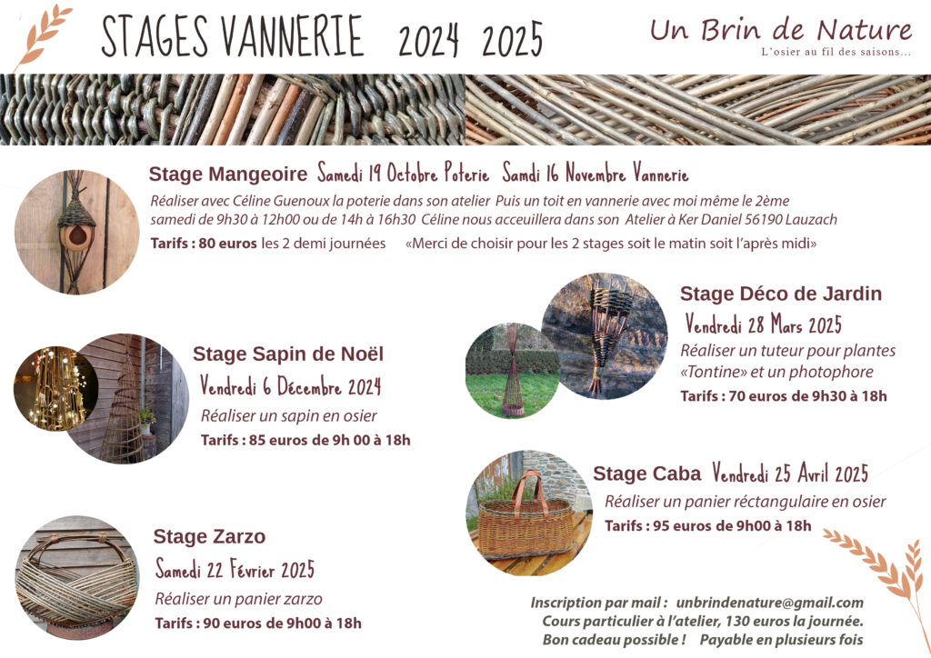 affiches des stages 2024 2025